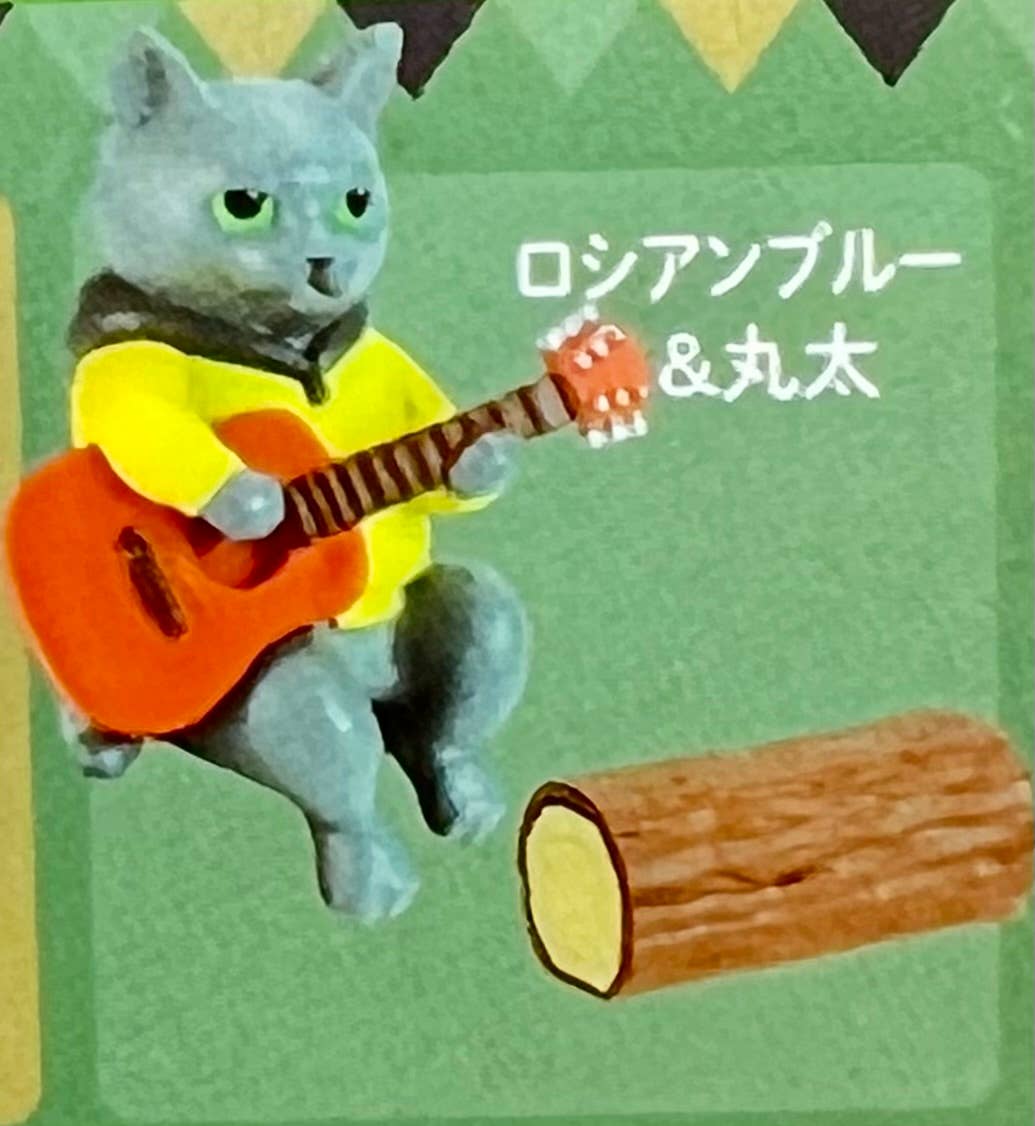 Campfire Cats Blind Box