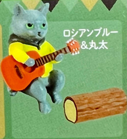 Campfire Cats Blind Box