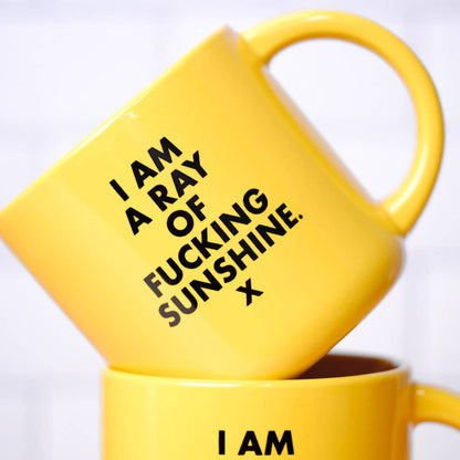 I am a ray of fucking sunshine... Ceramic Mug.  Case Pack of