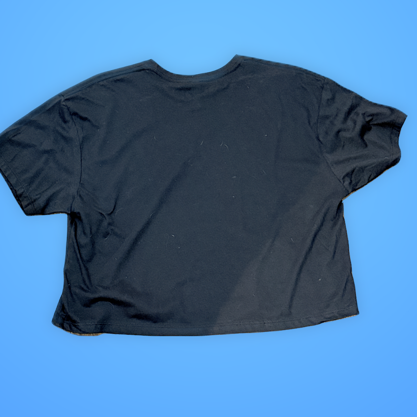 “Everyone Wants to be Us” Crop Boxy Tshirt
